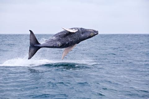 Puerto Lopez Ecuador